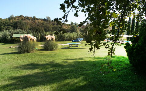 Agriturismo Girasole: Lawn, Grass, Natural Landscape, Green, Grassland, Pasture, Tree, Land Lot, Natural Environment, Meadow