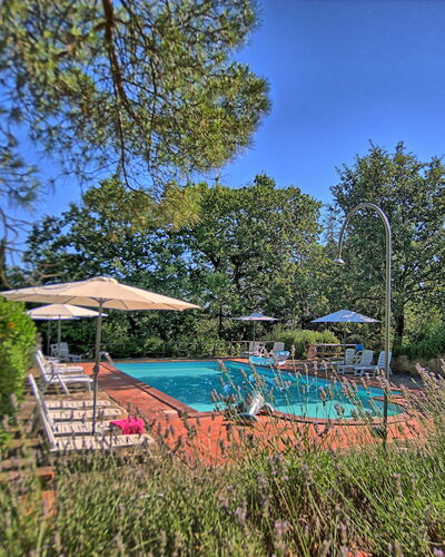 Sole Nel Prato: Property, Real Estate, Tree, Nature Reserve, Sky, Botany, House, Swimming Pool, Leisure, Garden