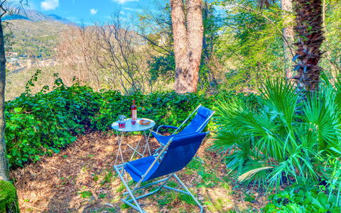 Olivi Del Mesco - Levanto: Vegetation, Majorelle Blue, Tree, Biome, Natural Landscape, Forest, Nature Reserve, Plant, Jungle, Terrestrial Plant