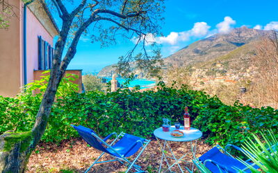 Olivi Del Mesco - Levanto