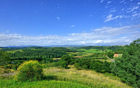 Casa Legoli: Natural Landscape, Sky, Nature, Green, Vegetation, Grassland, Natural Environment, Blue, Hill, Grass