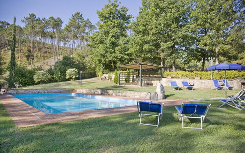 Broccolo: Swimming Pool, Property, Real Estate, Backyard, House, Leisure, Grass, Home, Building, Estate