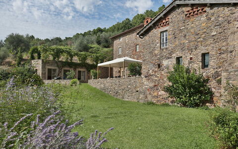 Chiodo: Property, House, Natural Landscape, Cottage, Building, Grass, Rural Area, Wall, Farmhouse, Grass Family