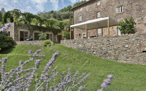 Chiodo: Lavender, Property, Flower, House, Plant, Architecture, Wall, Grass, Building, Garden