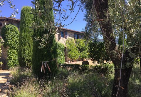 Macennere: Vegetation, Property, Tree, House, Sky, Building, Shrub, Grass Family, Rural Area, Architecture