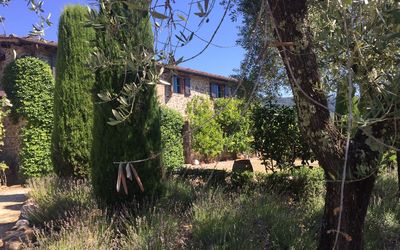 Macennere: Vegetation, Property, Tree, House, Sky, Building, Shrub, Grass Family, Rural Area, Architecture