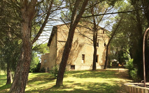 Malmantile: Tree, Grass, Woody Plant, Architecture, Sunlight, Building, Plant, Spring, House, Woodland