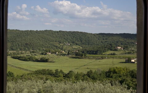 Ricavoli: Vegetation, Window, Grass, Plant Community, Sky, Grass Family, Tree, Plain, Ecoregion, Rural Area