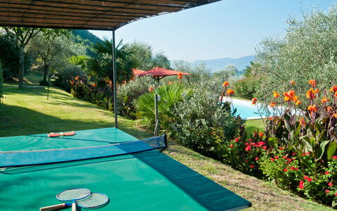 Villa Igea 13: Water, Plant, Flower, Property, Sky, Nature, Green, Azure, Swimming Pool, Building