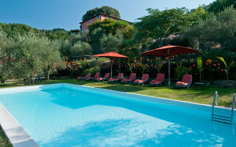 Villa Igea 13: Water, Plant, Property, Swimming Pool, Sky, Azure, Tree, Building, Shade, Body Of Water