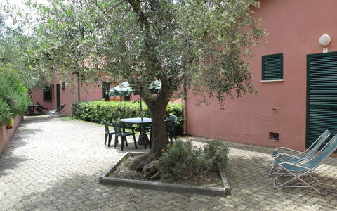 Accommodation:&nbsp;Elbamar Lacona 1 615.4