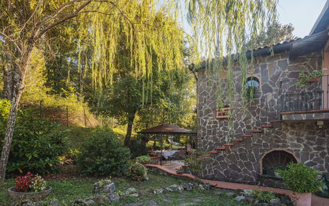 Grande Quercia: Plant, Leaf, Natural Landscape, Tree, Building, Sky, Sunlight, Grass, Land Lot, Window