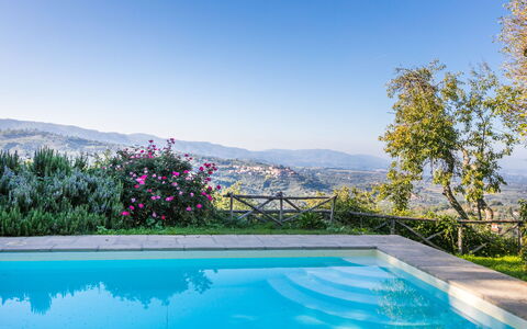 Belvedere: Water, Sky, Plant, Daytime, Swimming Pool, Flower, Azure, Natural Landscape, Tree, Leisure