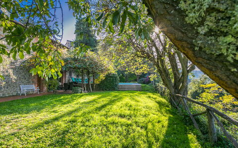 Belvedere: Plant, Natural Landscape, Branch, Tree, Shade, Grass, Groundcover, Leisure, Trunk