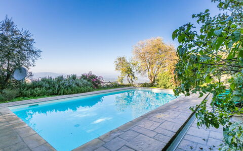 Belvedere: Water, Sky, Plant, Swimming Pool, Azure, Tree, Body Of Water, Natural Landscape, Grass, Leisure