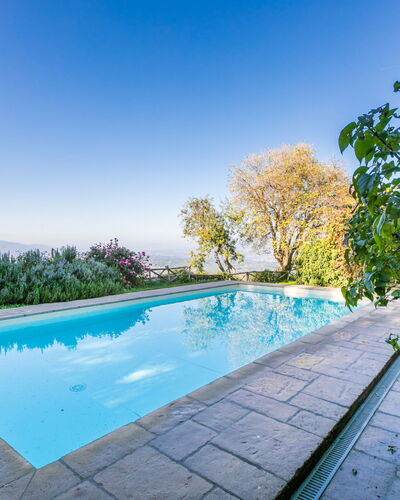 Belvedere: Water, Sky, Plant, Swimming Pool, Azure, Tree, Body Of Water, Natural Landscape, Grass, Leisure