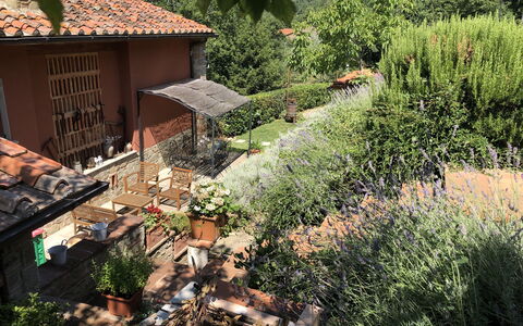 Villa Fusai: Property, Yard, Roof, House, Biome, Landscape, Garden, Building, Grass, Backyard