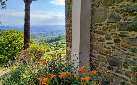 Villa Fusai: Nature, Vegetation, Flower, Plant, Tree, Leaf, Wall, Wildflower, Grass, Botany