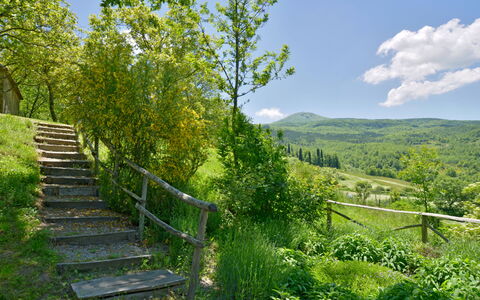 Casa Dell'ambasciatore: Green, Nature, Natural Environment, Natural Landscape, Mountainous Landforms, Vegetation, Hill, Shrub, Summer, Landscape