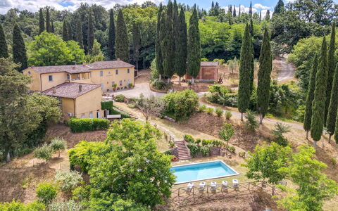 Villa Bacco: Tree, Shrub, Landscape, Home, House, Land Lot, Estate, Rural Area, Garden, Landscaping