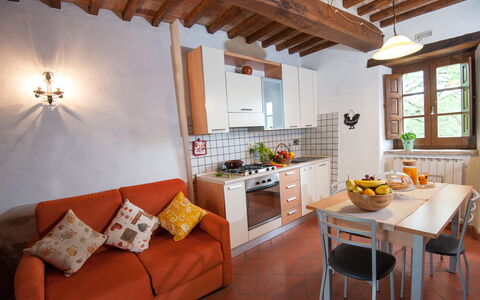 Accommodation:&nbsp;Tabaccaia