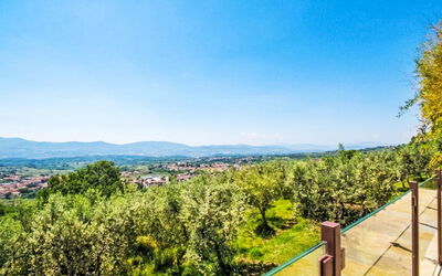 Podere Berrettino