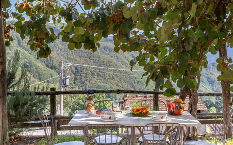 Casa Alice: Tree, Table, Leaf, Leisure, Furniture, Vacation, House, Real Estate, Meal, Plant