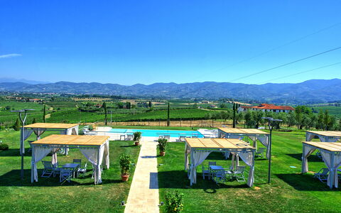 Il Sole Di Vino: Sky, Green, Property, Grass, Hill Station, Table, Mountain, Real Estate, House, Rural Area