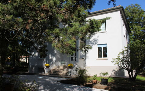 Villa La Casa Bianca: Property, House, Home, Building, Real Estate, Tree, Residential Area, Neighbourhood, Architecture, Estate