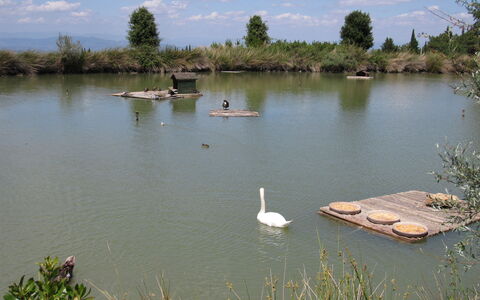 La Rimessa: Body Of Water, Water Resources, Natural Landscape, Water, Pond, Bank, Reservoir, Nature Reserve, Lake