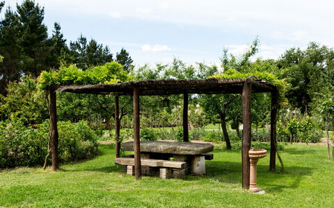 Casale Vacanze Il Granaio: Green, Nature Reserve, Tree, Botany, Grass, Garden, Pavilion, Table, Grass Family, Spring