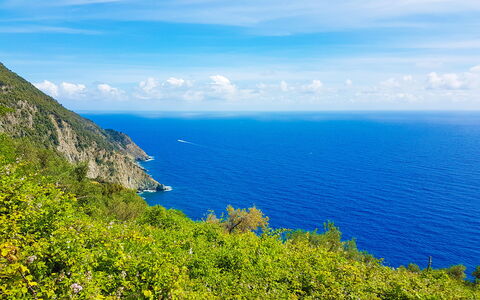 Dai Fiorentini - Apartment In Levanto: Sky, Coast, Sea, Vegetation, Blue, Promontory, Coastal And Oceanic Landforms, Natural Landscape, Ocean, Headland