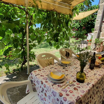 La Casa Del Sole: Plant, Property, Table, Botany, Nature, Flower, Landscape, Chair, Outdoor Furniture, Terrestrial Plant