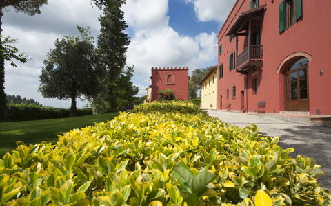 Tenuta Cambiano: Flower, Yellow, Natural Landscape, Property, Plant, Garden, Botany, Plantation, Spring, Real Estate
