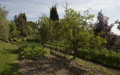 Tenuta Cambiano