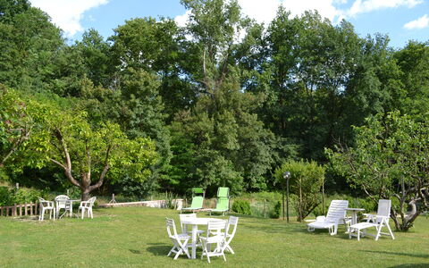 Agriturismo Il Giaggiolo without Pool: Tree, Garden, Property, Lawn, Backyard, Grass, Yard, Woody Plant, Plant, House