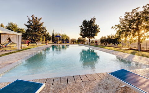 Casale Valdichiana: Swimming Pool, Property, Real Estate, Home, Water, Leisure, House, Resort, Building, Estate