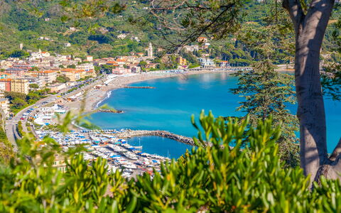 Il Giardino Sul Mare - Levanto: Water, Plant, Water Resources, Natural Landscape, Azure, Tree, Body Of Water, Coastal And Oceanic Landforms, Watercourse, Lake