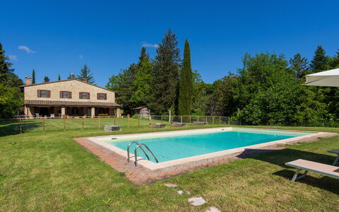 Podere a Lafi: Water, Plant, Sky, Building, Tree, Swimming Pool, Shade, Grass, Residential Area, Rectangle