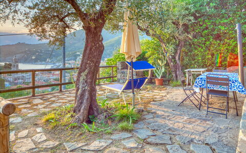 Il Frantoio Del Mesco - Levanto: Woody Plant, Shade, Tints And Shades, Outdoor Furniture, Trunk, Tent, Garden, Cobblestone, Home Fencing, Outdoor Structure
