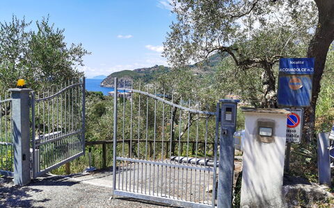 Il Frantoio Del Mesco - Levanto: Tree, Gate, Iron, Trunk, Metal, Fence, Home Fencing, Nonbuilding Structure, Chain-Link Fencing, Sign