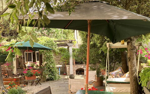 Villa Toppani Del Sodo: Plant, Plant Community, Shade, Botany, Outdoor Furniture, Table, Flower, Tree, Outdoor Table, Leisure