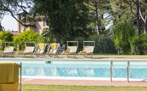 Villa Asciolo: Swimming Pool, Outdoor Furniture, Sunlounger, Resort, Composite Material, Shade, Rectangle, Chaise Longue, Leisure Centre