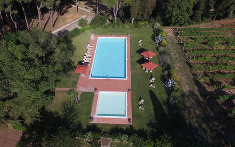 Villa Asciolo: Swimming Pool, Garden, Composite Material, Shade, Lawn, Yard, Plantation, Backyard, Landscaping