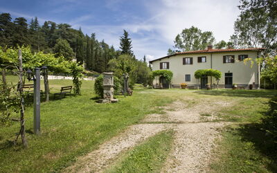 Podere Valcellino New