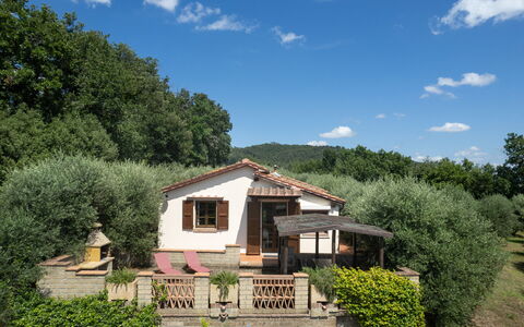 Villa Laura: Plant, Sky, Cloud, Property, Window, Plant Community, Building, House, Tree, Natural Landscape