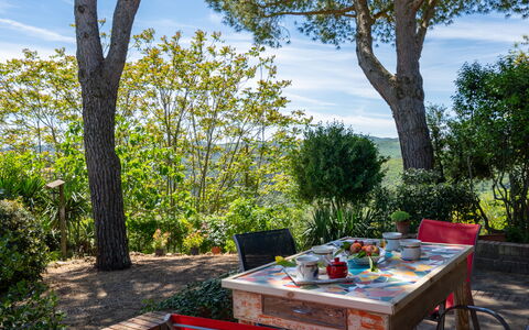 Villa Luana: Cloud, Plant, Table, Sky, Furniture, Plant Community, Tree, Outdoor Furniture, Tableware, Natural Landscape