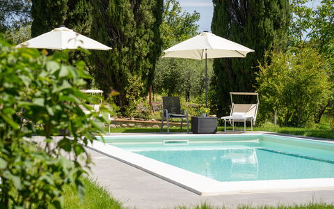Villa Luana: Water, Plant, Property, Swimming Pool, Shade, Umbrella, Tree, Outdoor Furniture, Rectangle, Grass