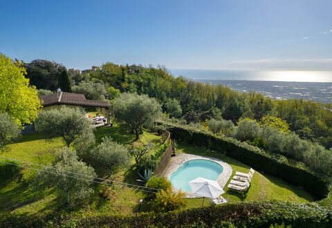 Villa Elisa: Natural Landscape, Landscape, Swimming Pool, Garden, Estate, Landscaping, Eco Hotel, Plantation, Villa, Farmhouse