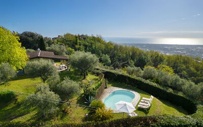 Villa Elisa: Natural Landscape, Landscape, Swimming Pool, Garden, Estate, Landscaping, Eco Hotel, Plantation, Villa, Farmhouse